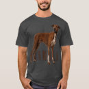 Suche nach cavalier kleidung Cavalier king charles spaniel