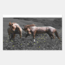 Suche nach stallions aufkleber Tiere