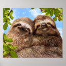 Suche nach valentine poster Liebe