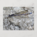 Suche nach quarz postkarten Gestein