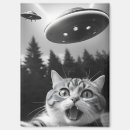 Suche nach alien magnete Lustige katze