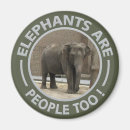 Recherche de zoo photographie Éléphant