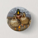 Recherche de étang de canard accessoires Colvert