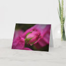 Suche nach seil karten Sommer