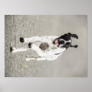 Suche nach schießen kunst Hund