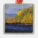 Suche nach kobold ornamente Herbst