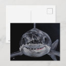 Recherche de prédateur cartes postales Requin