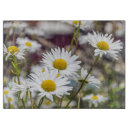 Recherche de marguerite blanche planches à découper Pour tous