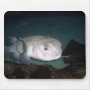 Suche nach puffer mousepads Fische