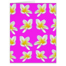 Recherche de frangipani Blanc
