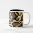 Recherche de reptiles tasses Échelles
