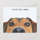 Recherche de chiens mignons cartes postales Drôle