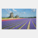 Recherche de hyacinthe autocollants Nature