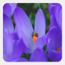 Suche nach ladybird aufkleber Fehler