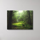 Suche nach natur leinwand leinwandbilder Wald