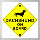 Suche nach dackeln poster Welpen