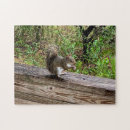Suche nach eichhörnchen puzzle Süße tier