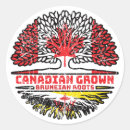 Suche nach brunei aufkleber Canadian bruneian