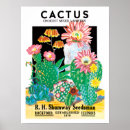 Suche nach wüsten pflanze poster Blume