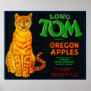 Suche nach toms poster Laterne