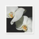 Recherche de orchidée blanche serviettes Fleur