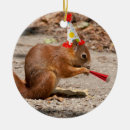 Suche nach niedliches eichhörnchen ornamente Kinder