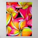 Recherche de plumeria art Rose