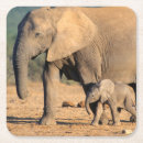 Suche nach afrikanische tiere untersetzer Superstock