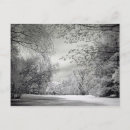 Suche nach infrarot postkarten Park