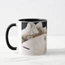 Recherche de assortiment tasses Fermeture