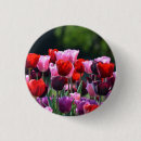 Suche nach tulpen buttons Mit blumen