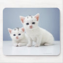 Suche nach zwei tiere mousepads Freundschaft