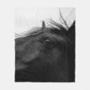 Suche nach schwarzes pferd decken Natur