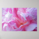 Suche nach frühlings blumen poster Mädchen