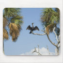 Suche nach kormoran mousepads Vogelvogel
