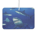 Recherche de requins voiture accessoires Mer