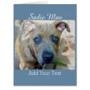 Recherche de de bull terrier vœux cartes Apbt