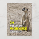 Recherche de suricate cartes postales Amusant