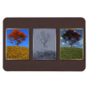 Recherche de triptyque magnets Trois
