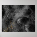 Recherche de coquillages art Tropical