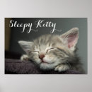 Suche nach sleeping cat poster Pet