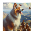 Recherche de berger australien carreaux Chiot