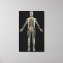 Suche nach transparent leinwandbilder Vertikal