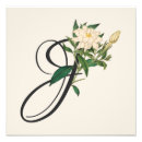 Suche nach monogramm j poster Blumenreich