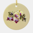 Suche nach orchideen ornamente Gelb