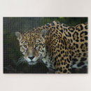 Suche nach jaguar puzzle Rätsel