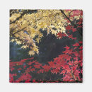 Recherche de changement magnets Couleur