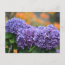 Recherche de impressionnistes cartes postales Impressionnisme