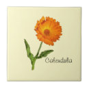 Suche nach single fliesen Orange