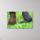 Suche nach langes haar leinwandbilder Horizontal
